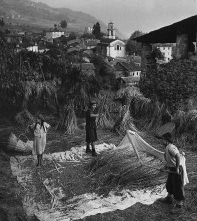 ConserVa segale e grano saraceno